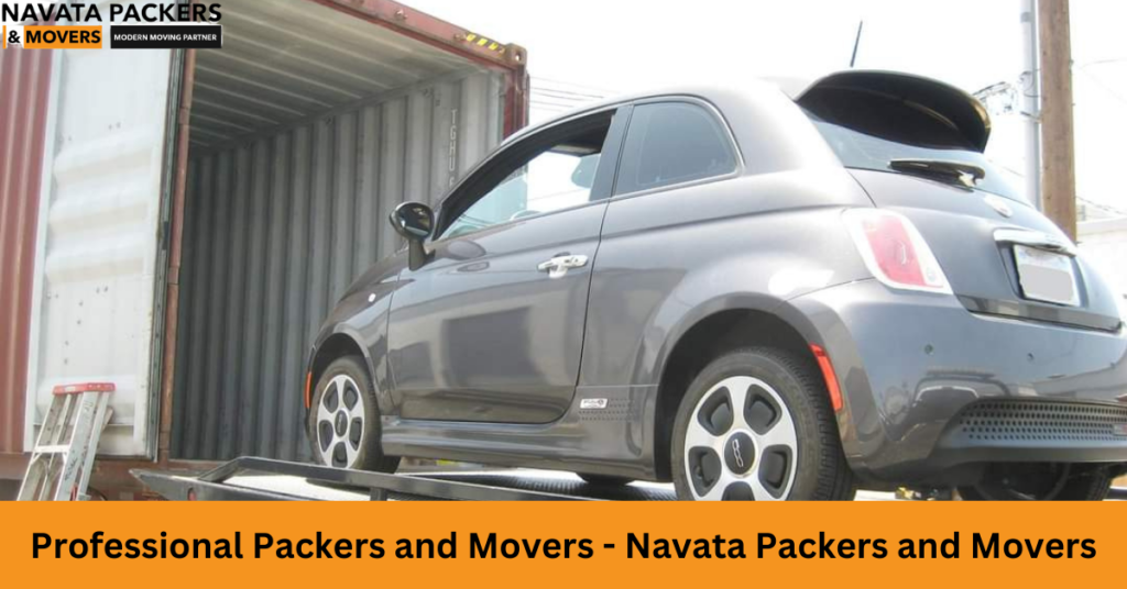 Professional Packers and Movers 